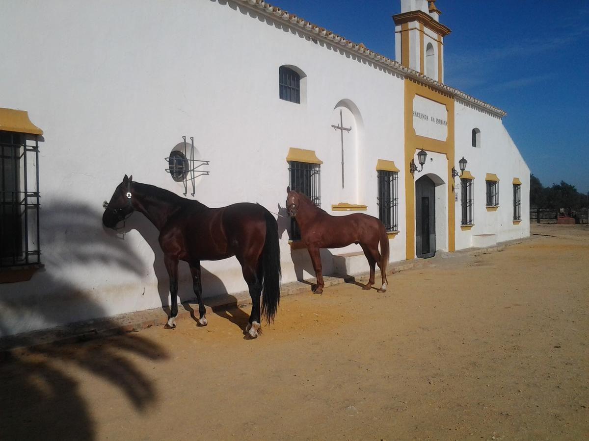Hacienda La Indiana Hotel Los Palacios Y Villafranca Exterior foto